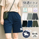 【SALE/10%OFF】伊達政宗 ハーフパンツ レディース UVカット メンズ スポーツ ハーパン ショートパンツ 速乾 ドライ グッズ 吸汗 ボトムス 体操服 サラサラ 軽量 涼しい 冷感 政宗 仙台藩 騎馬像 馬 ワンポイント プリント 夏 ラッシュガード テラコッタ