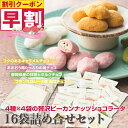 ばらまき チョコ 母の日 4種のピーカンナッツショコラータ4種×4袋(16袋) ピーカンナッツ チョコレート 個包装 詰め合わせ ペカンナッツショコラ ナッツチョコレート ギフト お菓子 プレゼント ナッツ キャラメル 苺 抹茶 スイーツ 小分け お茶会 お配りプチギフト 送料無料