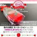 ＼クーポン／ 母の日 ギフト 花 2024 チョコレート カーネーション プレゼント スイーツ お菓子 ナッツ チョコ 贅沢ナッツショコラータ4種×3袋(12袋) ミックスナッツ ナッツチョコ 小分け おしゃれ 詰め合わせ アーモンド 苺 ピーカンナッツ ナッツチョコレート 人気 可愛い 2