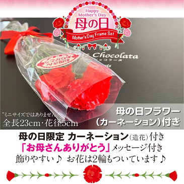 早割 母の日 ギフト お菓子 ナッツ チョコ ギフト 個包装 ミックスナッツ 小分け スイーツ アーモンドココア ピーカンナッツキャラメル カシューナッツ苺 くるみ岩塩 チョコレート プレゼント 贈り物 送料無料 【贅沢ナッツショコラータ4種×3袋(12袋)】カーネーション付き