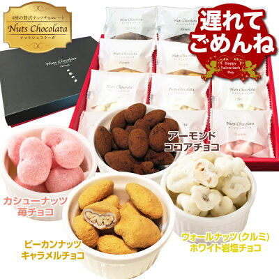 ＼遅れてごめんね／ バレンタイン チョコ ナッツ チョコレート ギフト プレゼント お菓子 贅沢ナッツショコラータ 詰め合わせ おしゃれ ナッツチョコ 個包装 ミックスナッツ 小分け スイーツ カシュ...