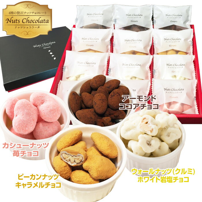 ◆超SALE40%OFF◆ ナッツ チョコレート ギフト プレゼント お菓子 チョコ 大人 贅沢ナッツショコラータ 詰め合わせ 可愛い おしゃれ ナッツチョコ 個包装 ミックスナッツ 贈答 小分け スイーツ カシューナッツ 苺チョコ アーモンドココア ピーカンナッツキャラメル くるみ