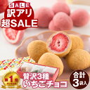 【訳あり69%割引SALE】賞味期限9/19 チョコレート ギフト 1000円 ポッキリ お菓子 プレゼント チョコ 苺チョコ おしゃれ 苺 キャラメル 抹茶 ...