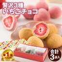 チョコレート お歳暮 ギフト お菓子 クリスマス プレゼント チョコ 苺チョコ おしゃれ 苺 キャラメル 抹茶 ホワイト フルーツ イチゴ 小分け スイーツ ロ...