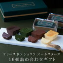 七五三 内祝い ハロウィン 2025 テリーヌドゥショコラ オールスターズ16個 詰め合わせチョコ 抹茶 チーズケーキ チョコバナナ ガトーショコラ チョコレートケーキ チョコレート 洋菓子 お菓子 高級 ギフト おしゃれ お取り寄せ スイーツ 誕生日プレゼント 食べ比べ 個包装