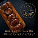 【送料無料 スイーツ 】テリーヌ ドゥ ショコラ モンブラン 送料無料 チョコレートケーキ チョコレート ケーキ お取り寄せ スイーツ 高級 洋菓子 大人 人気 ブラウニー 冷蔵 ギフト プレゼント 誕生日 内祝い お返し チョコ 高級チョコ 手土産