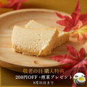 敬老の日 早特 2025 テリーヌドゥショコラオフロマージュ チーズケーキ ホワイトチョコレート北海道生クリーム グルテンフリー 洋菓子 お菓子 高級 ギフト おしゃれ お取り寄せ スイーツ 誕生日プレゼント