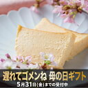 ベイクドチーズケーキ 母の日 おしゃれ チーズケーキ ホール テリーヌショコラ 4号 スイーツ ギフト 誕生日 高級 お取り寄せ 送料無料 内祝い お返し 出産 結婚 父の日 お中元