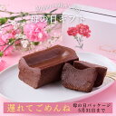 遅れてごめんね 母の日 2025 テリーヌドゥショコラ テリーヌショコラ ガトーショコラ チョコレートケーキ チョコレート チョコ 洋菓子 お菓子 高級 ギフト...