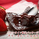 バレンタイン 2021 限定パッケージ チョコレート ギフト 神楽坂 テリーヌ ショコラ ガトーショコラ モンドセレクション最高金賞 送料無料 あす楽 高級 人気 プレゼント チョコレートケーキ 誕生日 内祝 出産 結婚 お返し お礼 お菓子 スイーツ おしゃれ お取り寄せ 手土産