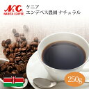 自家焙煎 コーヒー豆 250g (約17-25杯分) ケニア エンデベス農園 ナチュラル豆のまま/挽き 選べます【 スペシャルティコーヒー 】N&C 成田珈琲