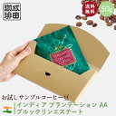 【送料無料】お試し コーヒー豆 50g インディア プランテーション AA ブルックリンエステート 【自家焙煎珈琲】コーヒー おためし サンプル トライアル 少量 N&C 成田珈琲 姫路 ギフト コーヒー 珈琲 珈琲豆 コーヒー豆 煎りたて ドリップ