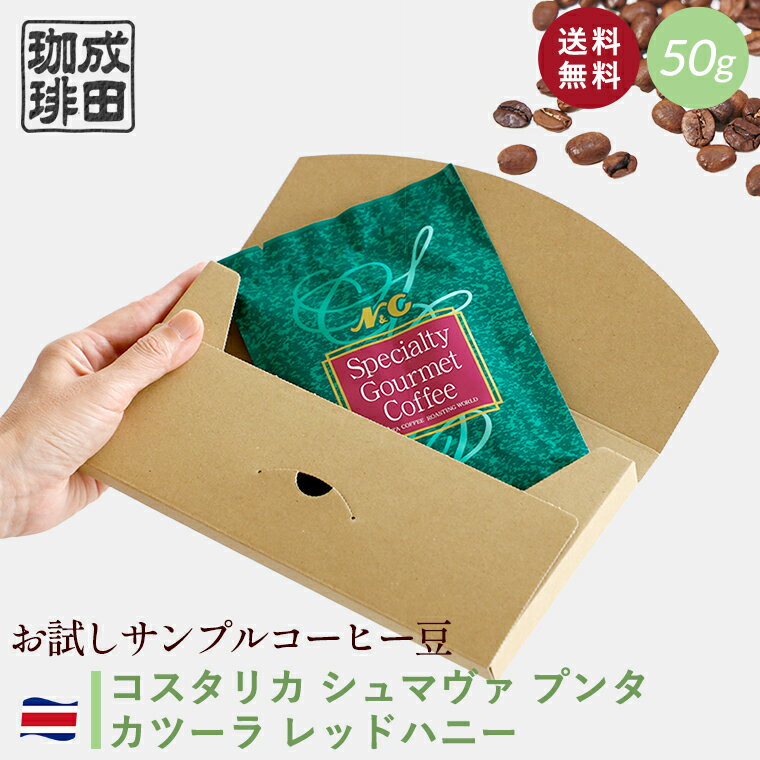 【送料無料】お試し コーヒー豆 50g 