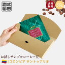 【送料無料】お試し コーヒー豆 50g コロンビア サントゥアリオ 【自家焙煎珈琲】コーヒー おためし サンプル トライアル 少量 N&C 成田珈琲 姫路 ギフト コーヒー 珈琲 珈琲豆 コーヒー豆 煎りたて ドリップ