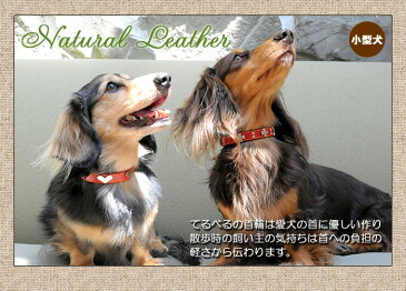 犬 首輪 メール便送料無料 おしゃれ かわいい 迷子札 中型犬 本革 犬首輪 犬の首輪 首輪 小型犬 皮 日本製 柴犬 チワワ トイプードル フレンチブル いぬ くびわ 犬用品 レザー 皮 てるべる テルベル カラー 犬用 カラー T-S