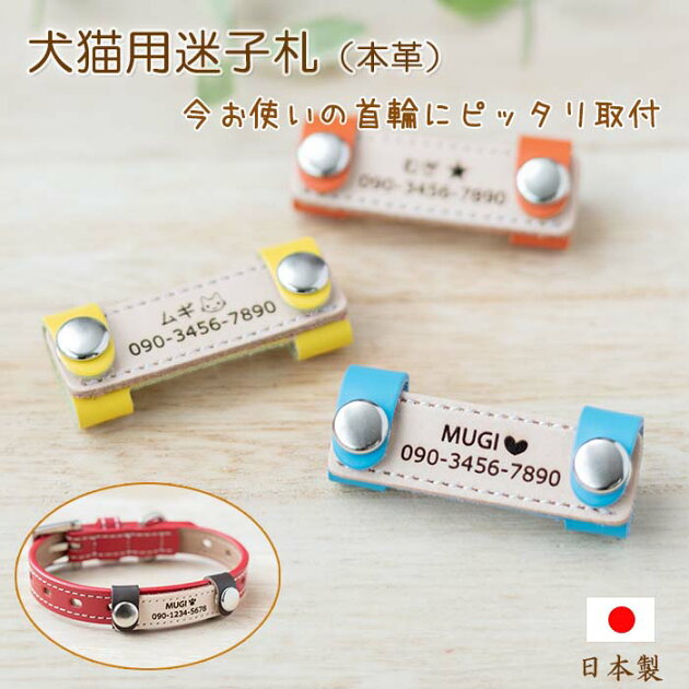 犬用迷子札の通販口コミおすすめランキング ペット ペットグッズ ツカエルサイト 犬用迷子札の通販口コミおすすめランキング ペット ペットグッズ ツカエルサイト