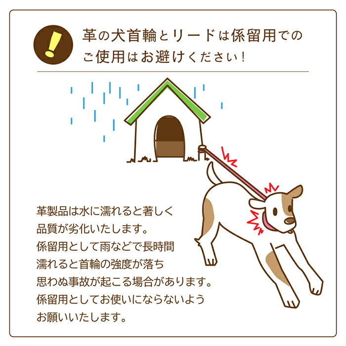 犬 リード おしゃれ イニシャル 犬のリード 中型犬 名前入り 革 クロコダイル型押し15mm幅ラインストーンリード 可愛い メール便送料無料 かわいい 名入れ レザー 小型犬 首輪