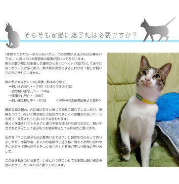 猫 首輪 ネコ オーダー メール便送料無料 ねこ 安全 迷子札 革 かわいい おしゃれ 名前入 名前 セーフティ 皮 猫の首輪 迷子札付きねこ首輪 猫迷子首輪 日本製 ネームタグ タグ セーフティバックル てるべる チョーカー maigo-4