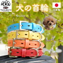 犬 首輪 犬首輪 犬の首輪 おしゃれ かわいい ブランド 名入れ 迷子札 中型犬 小型犬 小型犬用 超小型犬 いぬ くびわ 革 レザー 皮 軽い 犬用首輪 OTM-1