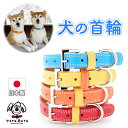 犬 首輪 犬首輪 犬の首輪 おしゃれ かわいい ブランド 名入れ 迷子札 中型犬 小型犬 小型犬用 超小型犬 いぬ くびわ 革 レザー 皮 軽い 犬用首輪 OTM-3
