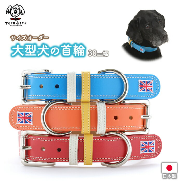 オープンロード（Open Road Brands）犬用首輪 Sサイズ【ペット プレゼント 犬 犬用品 小型犬 キャンプ 犬とキャンプ 犬と釣り】