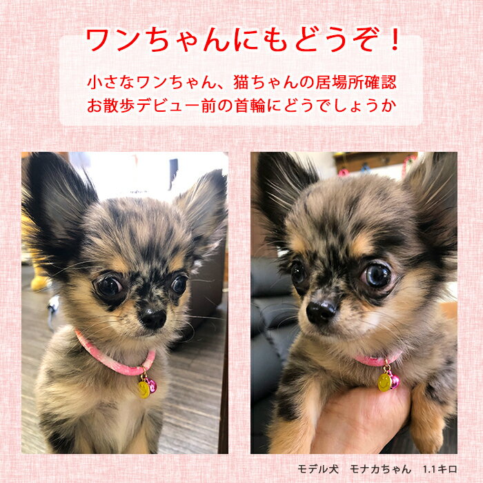 ちりめんキット 猫 ねこ 犬 子犬 首輪 チョ...の紹介画像3