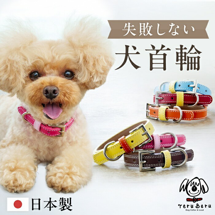 犬 首輪 犬首輪 犬の首輪 おしゃれ かわいい ブランド 名入れ 迷子札 中型犬 小型犬 小型犬用 超小型犬..