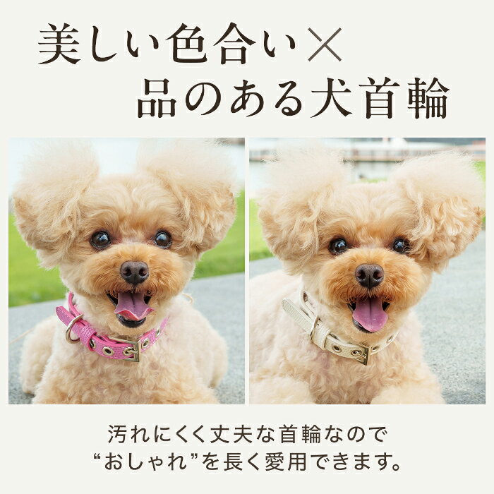 �� ���� ������ ���μ��� ������� ���襤�� �֥��� ̾���� �»һ� �淿�� ���� ���Ӥ� �� �쥶�� �� �ڤ� �Ƹ� ���Ѽ��� OTM-2