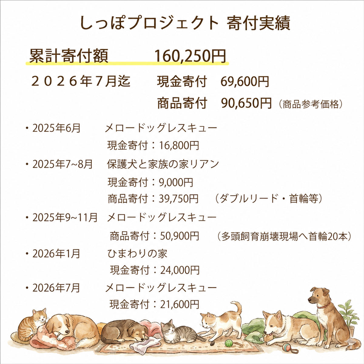 迷子札 超軽量 犬 いぬ 猫 ねこ ペット 犬用迷子札 名前入れ 名入れ ネーム入り ネ...