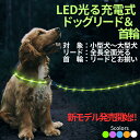 リード 犬 光る 首輪 セット 充電式 ライト 1.2m 小型犬 中型犬 大型犬 全長両面光る ペット用品 ライト付き 夜間 安全対策 送料無料 メール便 即日...