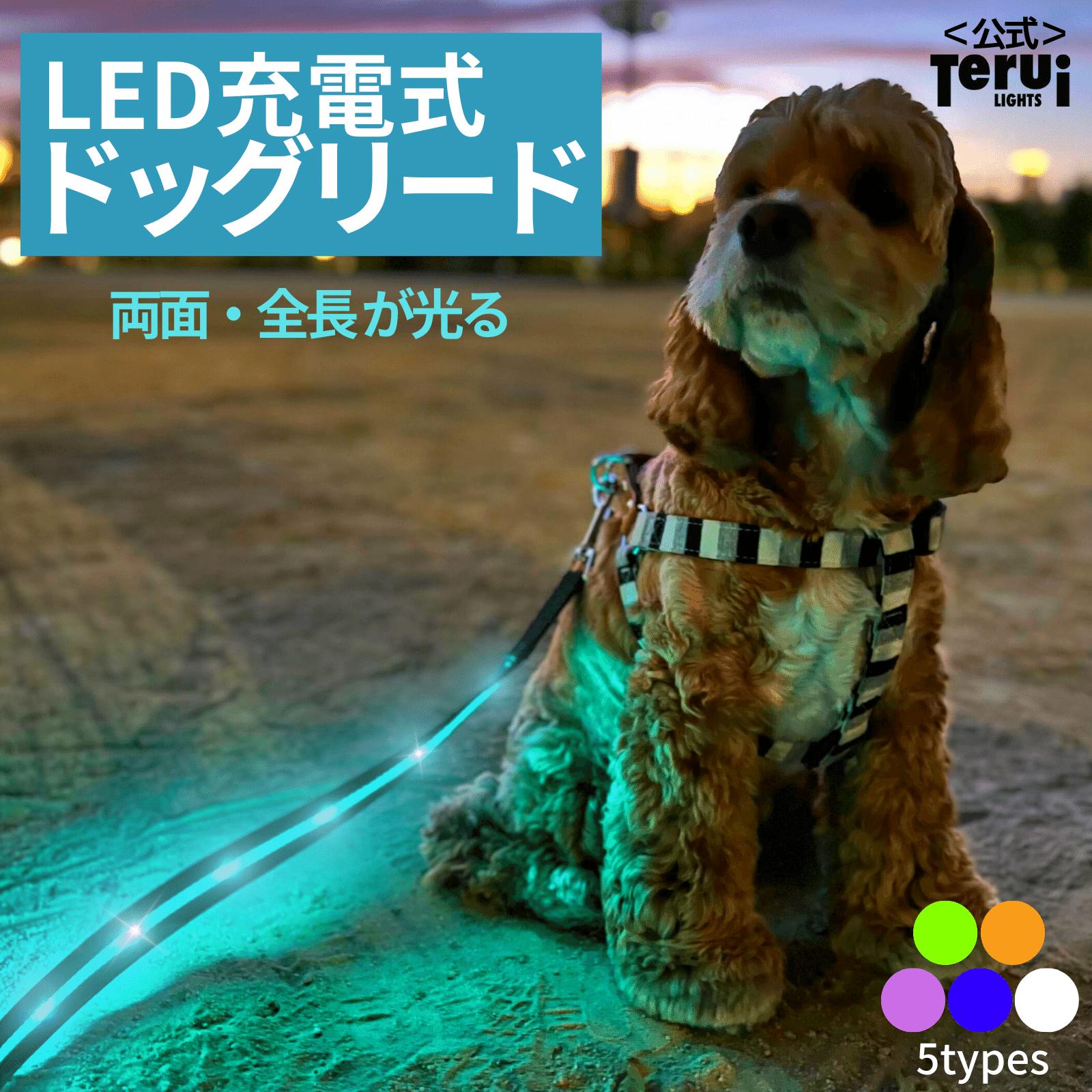 犬 リード 光る ドッグリード led ライト 1.2m 中型犬 大型犬 犬用 散歩 犬のリード 犬用リード ペット用リード ペットリード ライト付き 夜間 安全 充電 ledライト ペット用品 ペットグッズ 犬用品 TERUI Lights