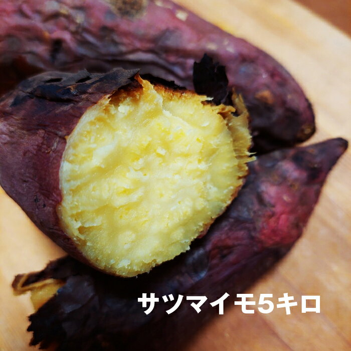 農園直送 千葉県産 サツマイモ 5キロ 紅はるか 採れたて 新鮮 甘い さつまいも 焼き芋用 製菓用