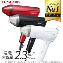 【ポイント10倍 4/27 9:59まで】プロテクトイオン ヘアドライヤー TD570A 速乾 大風量 大風圧 ハイパワー 1300W 軽量 軽い マイナスイオン マイナスイオンドライヤー ヘアードライヤー 静電気 ヘアケア 小型 軽量化 スピーダム TESCOM