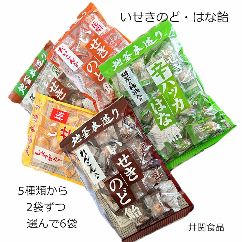 井関食品 のど飴 6袋 いせきのど・はな飴 5種類から3種2袋ずつ選んで6袋 ■井関食品