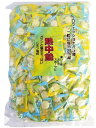 井関食品 熱中飴 業務用1kg(塩飴) 一粒に塩分300mg超【HO‐3】