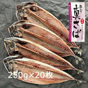 さば干物 宮城県産 250g×20枚【冷凍】《バルク 業務用/まとめ買い用》［純国産 無添加 沼津のひもの 真さば開き 奥寅商店］