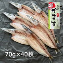 かます干物 静岡県産 70g×40枚《バルク 業務用/まとめ買い用》［純国産 無添加 沼津のひもの かます開き 奥寅商店］