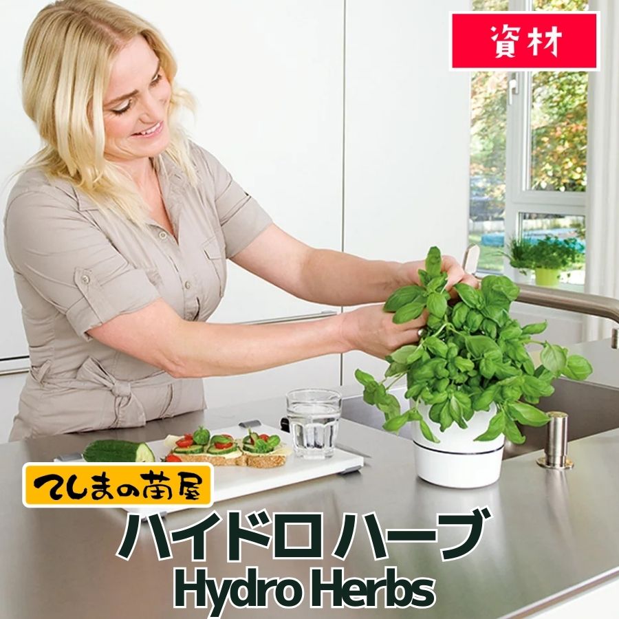 【てしまの資材 】ハイドロ ハーブ mepal Hydro Herbs