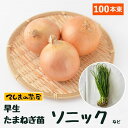 【予約受付中】 早生 たまねぎ苗 約100本束 ソニックまたは七宝タマネギ苗 抜き苗 【野菜苗 培土 種 】 【ガーデニング】 【家庭菜園】