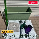 teshimanonaeya:10004784のサンプル画像1