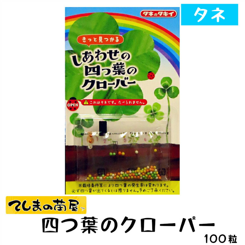 【メール便送料無料】タキイ 種子 しあわせの四つ葉のクローバー