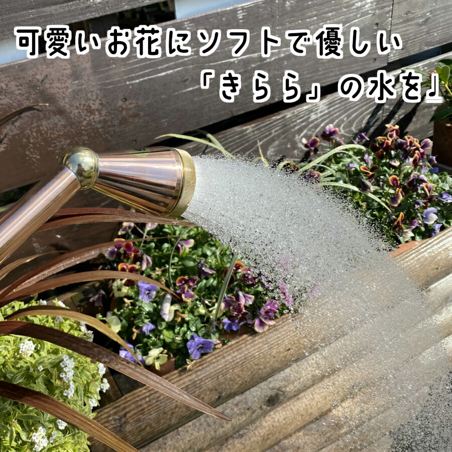 てしまの苗 資材 きらら磁気10lガーデニング 園芸 家庭菜園 プランター てしまの苗屋 店 てしまの苗 資材 きらら磁気10lガーデニング 園芸 家庭菜園 プランター てしまの苗屋 店