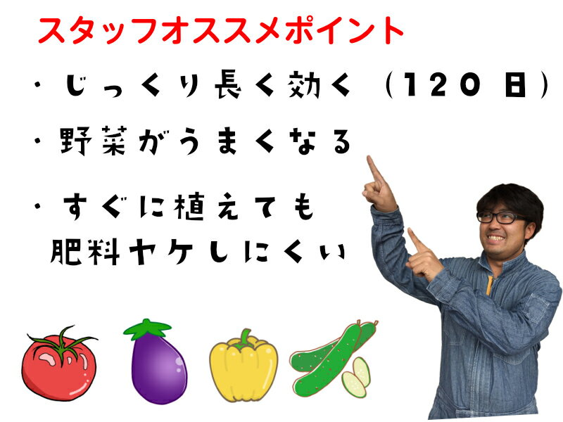 【てしまの有機肥料-追肥専用】 野菜・花全般に使える有機肥料 900g ※代引き不可 元肥に 緩効性チッ素 苦土入り トマト ナス ピーマン スイカ メロン キュウリ ゴーヤ トウガラシ ブロッコリー キャベツ カリフラワー