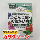 【てしまの薬剤】 殺菌剤カリグリーン（1.2g×10）