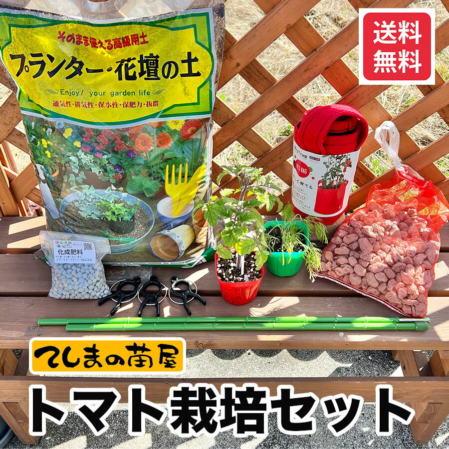 【てしまの苗】ミニトマト栽培セット　送料無料 　 ※北海道・沖縄への配送は送料900円加算　※他商品 ...