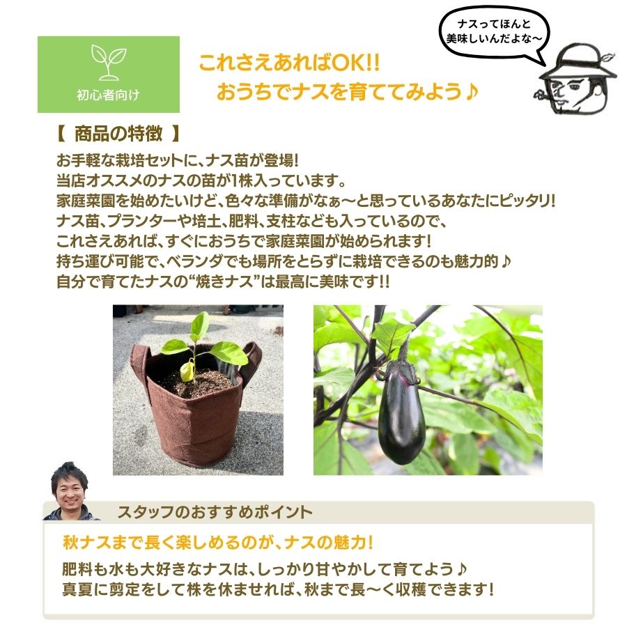 �ڤƤ��ޤ��ġ� �ʥ����ݥ��å� ����̵�� ���̳�ƻ������ؤ�����������900�߲û� ��¾���ʤȤ�Ʊ�����ʼ�����Բ�