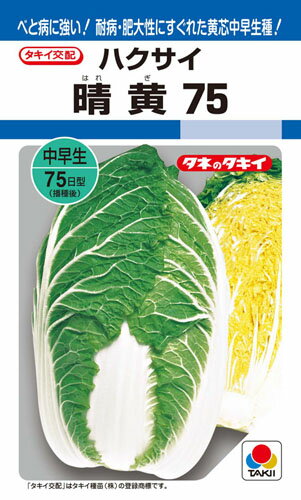 樂天商城 - 【種子】ハクサイ・晴黄75　ペレット種子：1缶（5000粒）タキイのタネ白菜