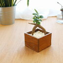 チーク ボックス 木製 木 天然木 チークウッド ウッド ケース 小物入れ かご アクセサリーケース アクセサリー入れ 収納 キーケース 小物収納 お菓子入れ ...