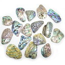 パウア貝 アバロン貝 【シェルチップ 】 ★PT32★ 中16個セット アクセサリーパーツ 加工用材料