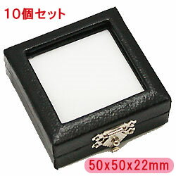 【ルースケース】 約50x50x22mm 《10個セット》 裸石ケース/ジュエリーケース/宝石ケース/コインケース l-c-1